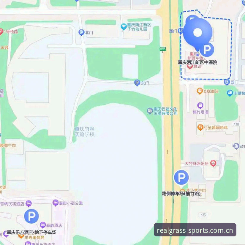 绿茵体育苹果下载与新老版本通道对比：老用户告诉你哪条路更省心